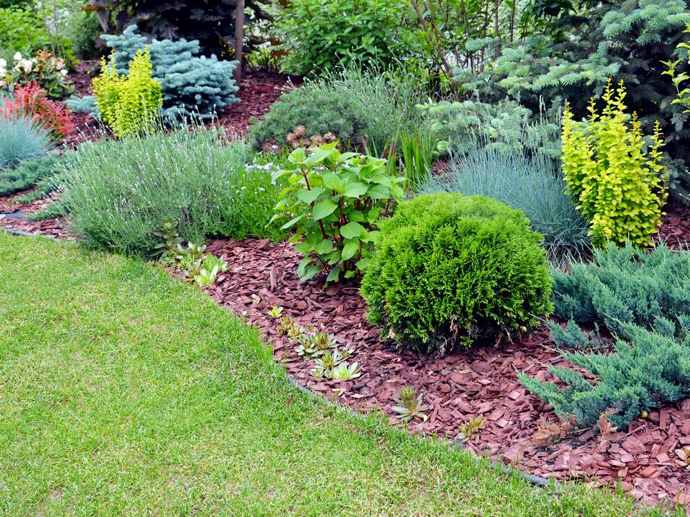 Landscaping