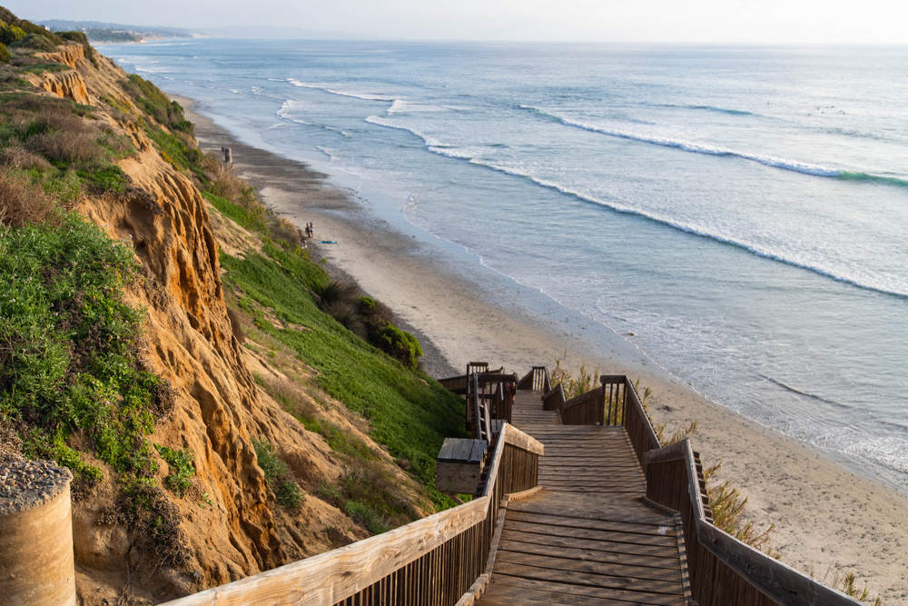 Landscaping Services in Cardiff By The Sea