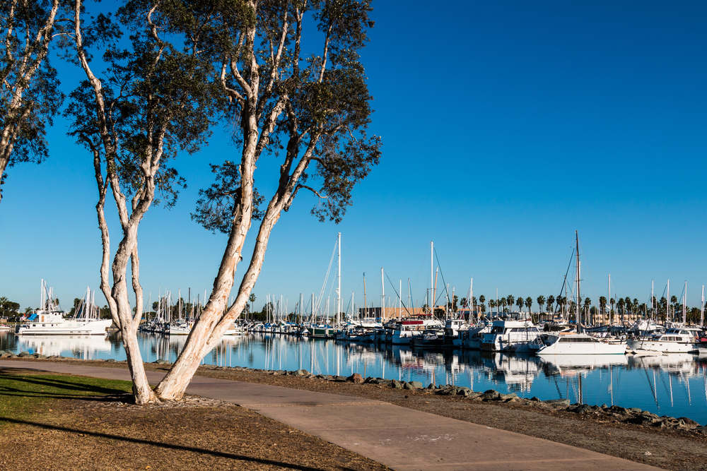 Painting Services in Chula Vista
