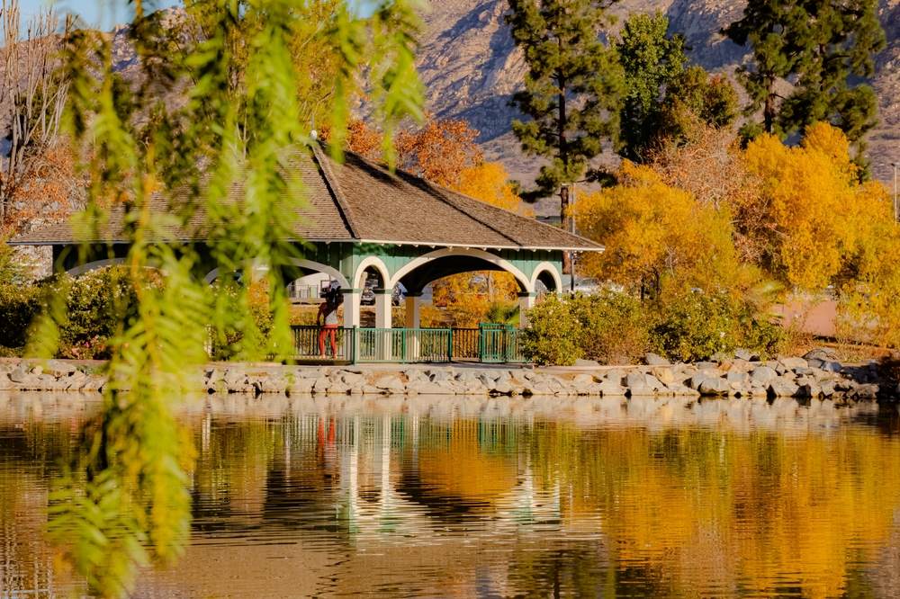 Exceptional Painting Services in Lakeside