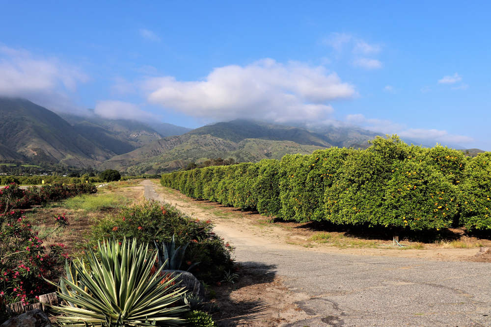 Hardscaping Services in Pauma Valley