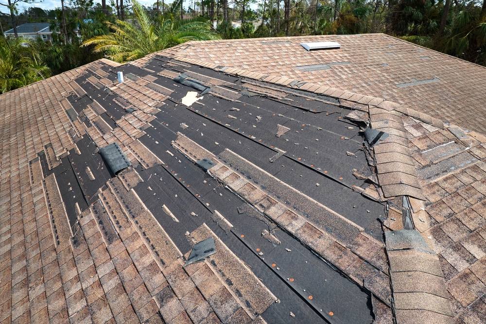 Top Warning Signs of Roof Damage You Shouldn’t Ignore